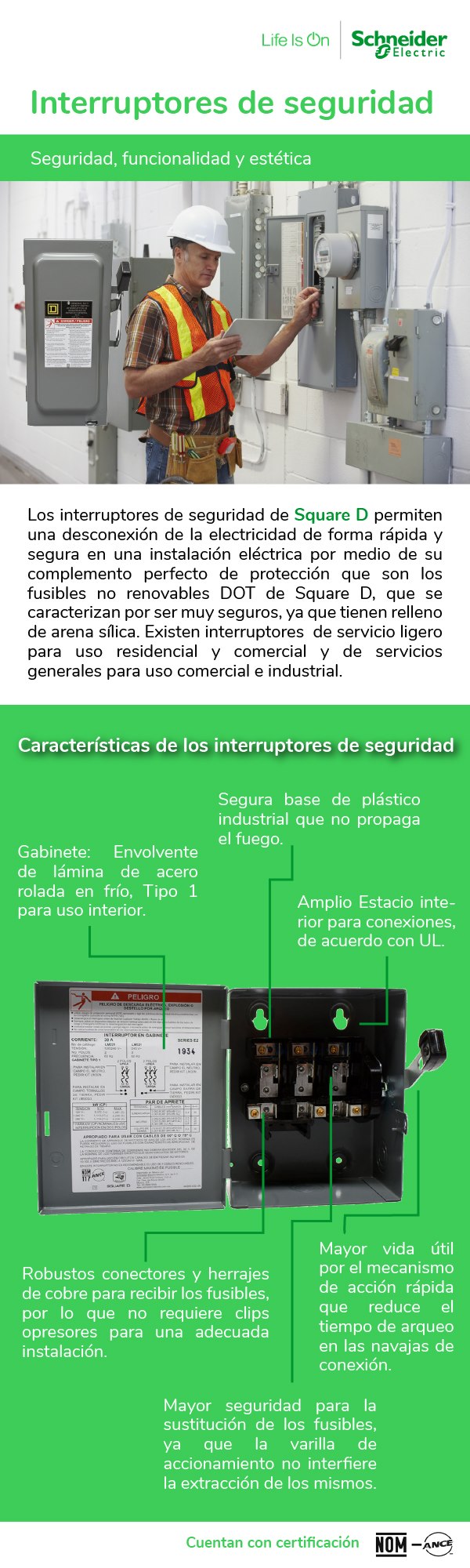 Interruptores de Seguridad Schneider Electric Home Depot México